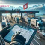 Zollprobleme verstehen, Risiken senken: Professionelle Zollberatung in der Schweiz